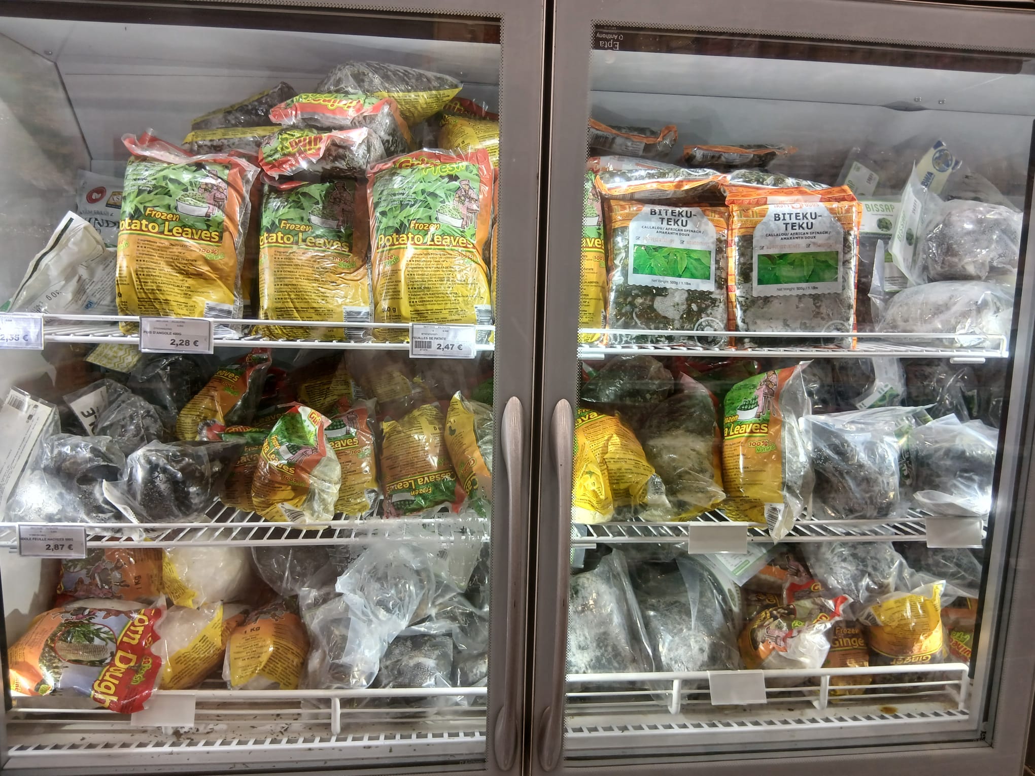 WhatsApp Image 2025-08-14 at 1.16.38 PM (12)